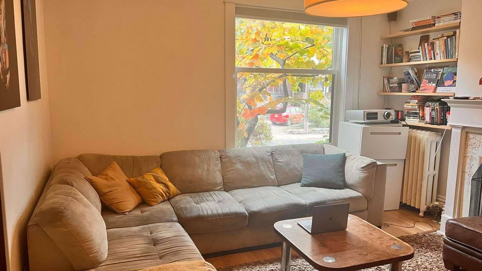 Kolokasie Toronto 663761