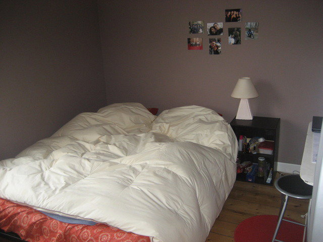 Colocation Lambersart 24243