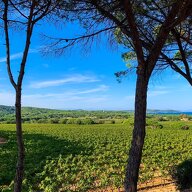 Homestay Ramatuelle 669130