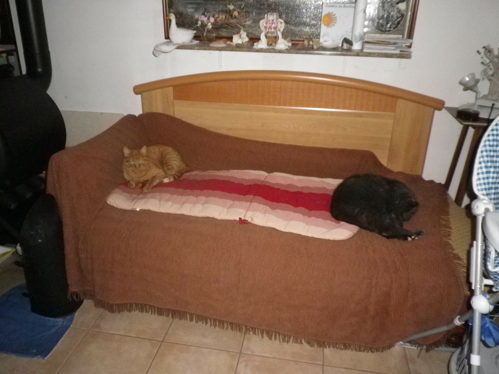 Colocación Nonglard 182247