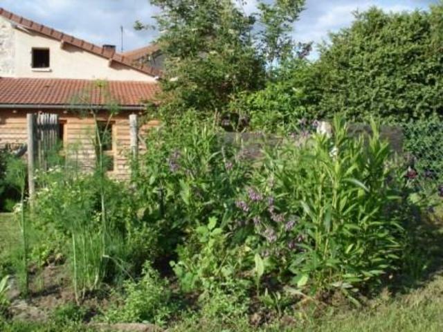 Camere Per Gli Ospiti Sauviat-sur-Vige 31847