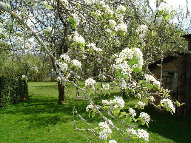 Camere Per Gli Ospiti Sauviat-sur-Vige 31847