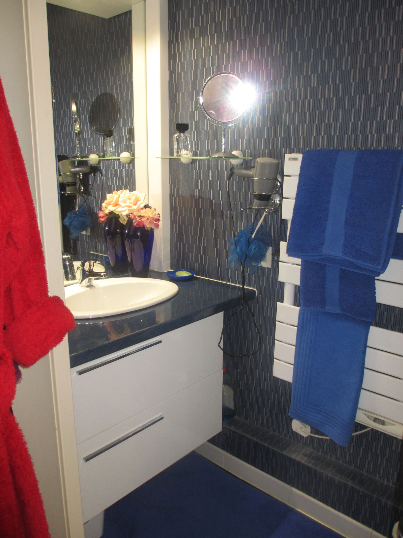 Famiglia Issy-les-Moulineaux 343674