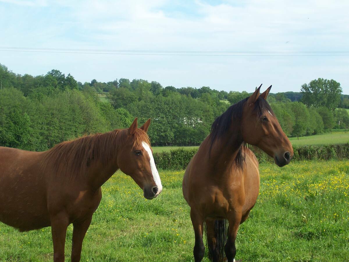 Famiglia Mouhers 111512