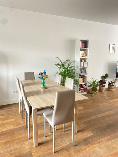 Colocación Schaerbeek 248686