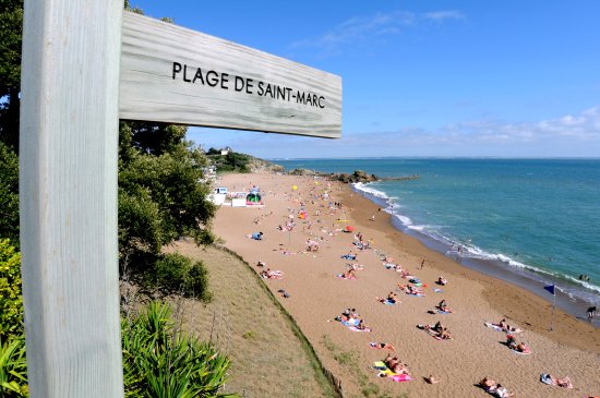 Kolokasie Saint-Nazaire 495639