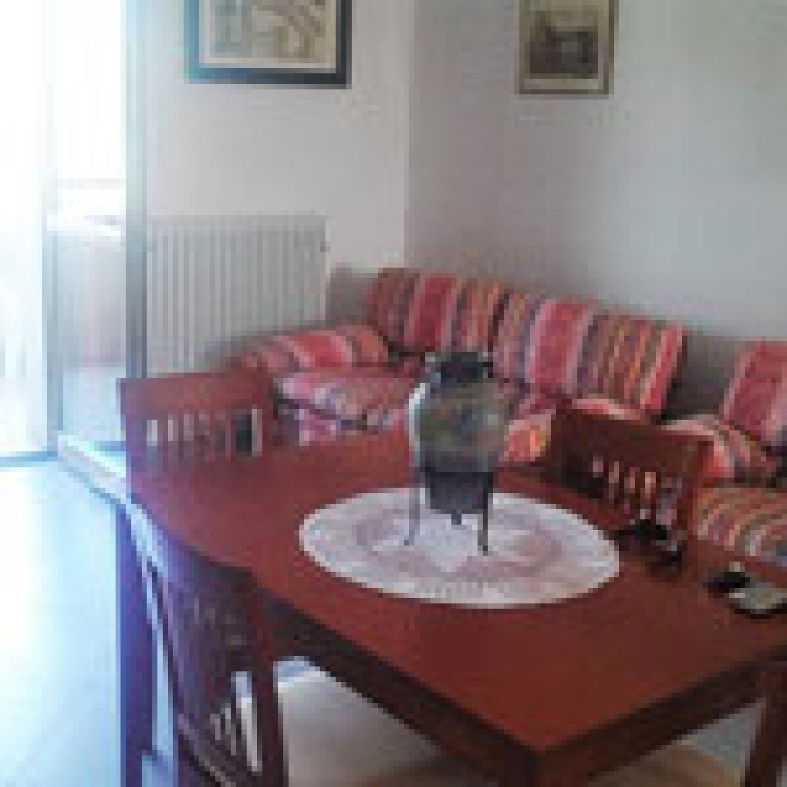 Onafhanklike Ateljee Senigallia 185368