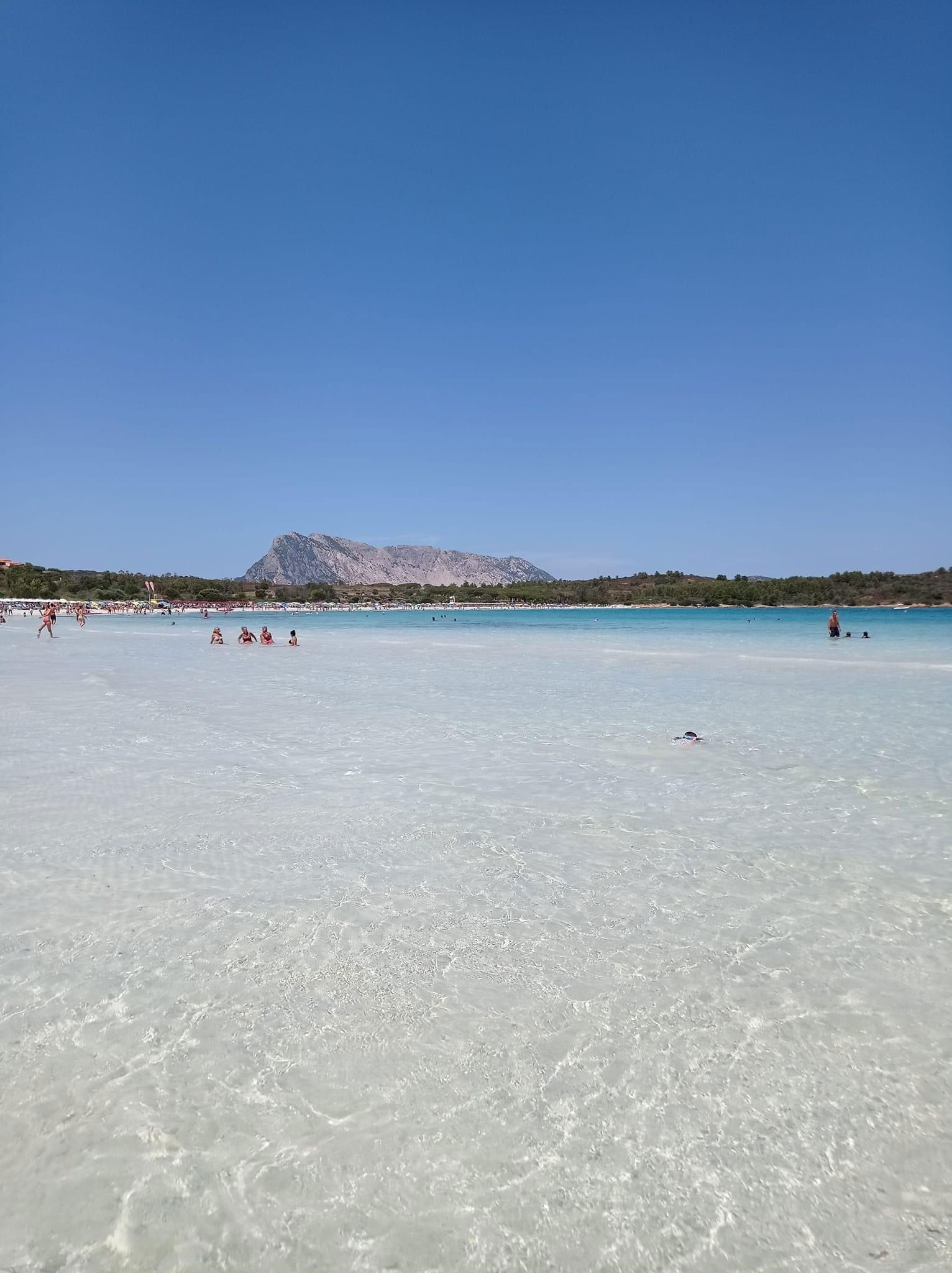 Uafhængigt Studie Olbia 260400