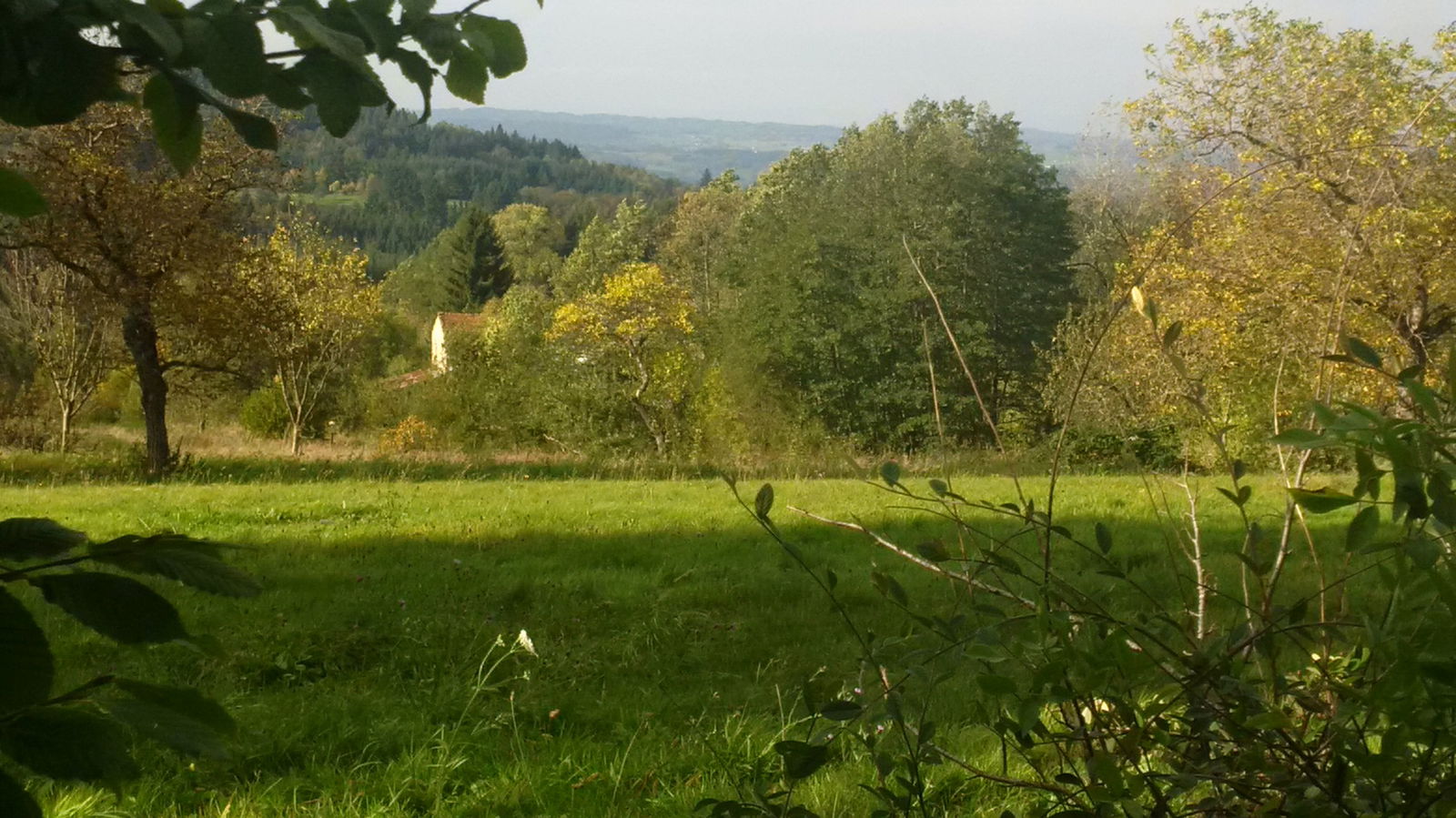 Uafhængigt Studie Le Brugeron 99183