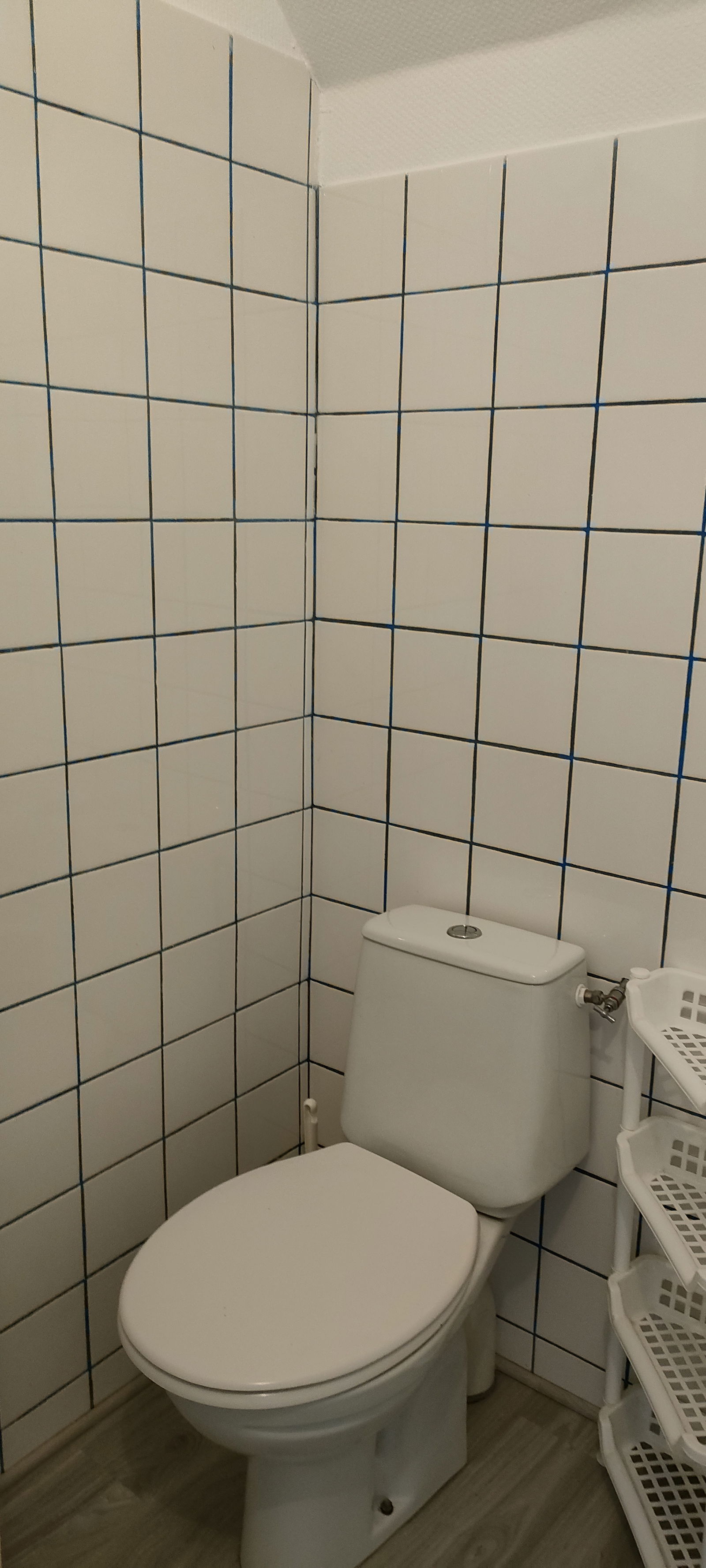 Uafhængigt Studie Vessey 19090