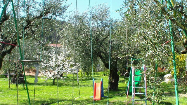 Uafhængigt Studie Carros 46216