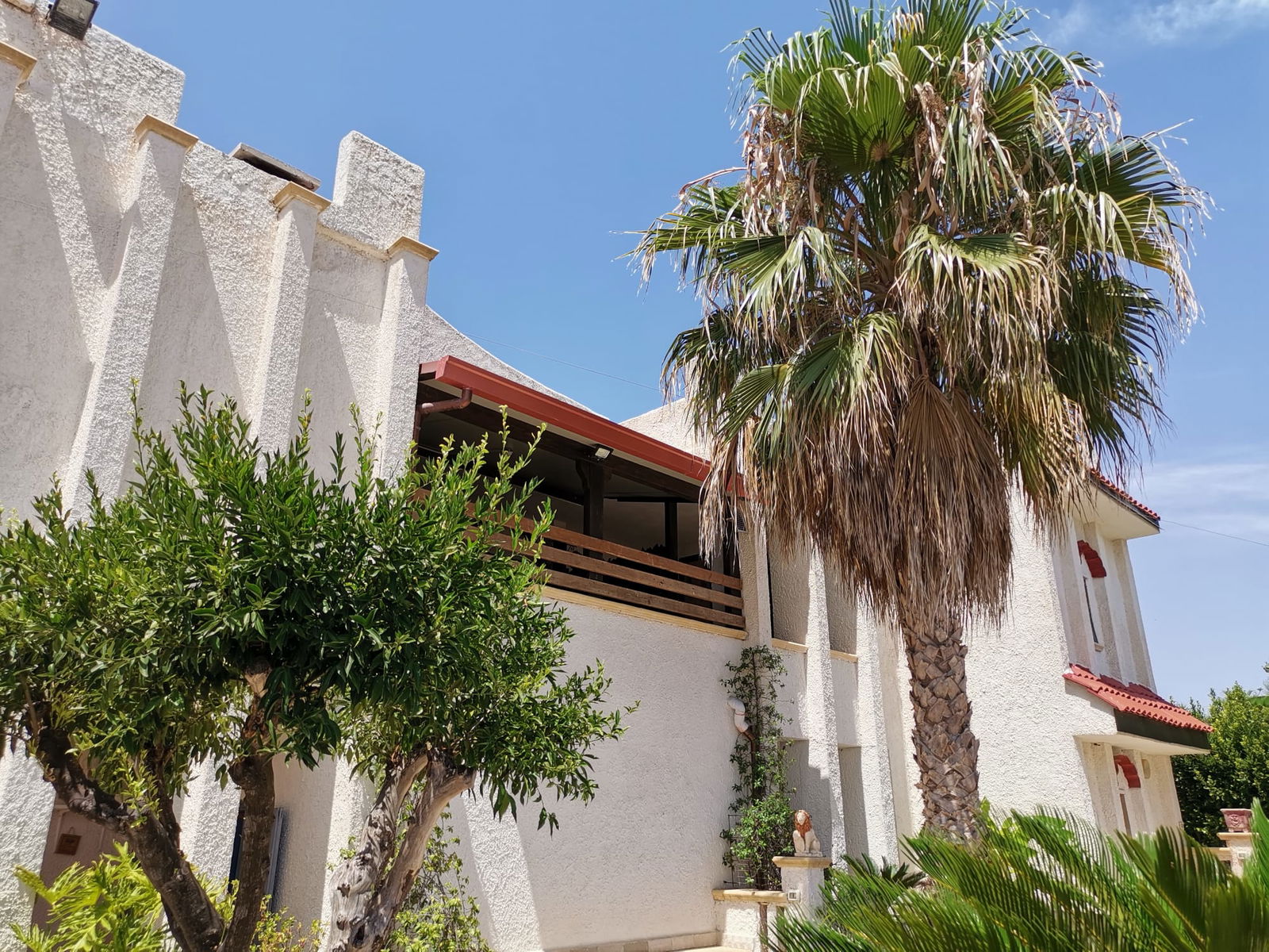 Gastfamilie Salve 336942