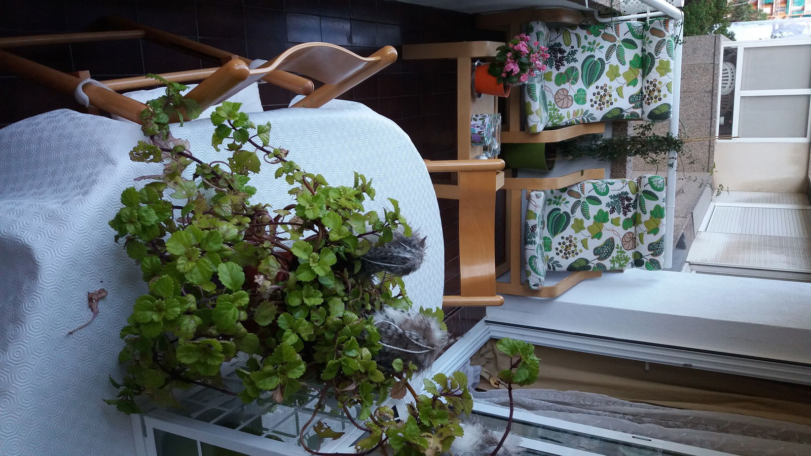 Homestay Barcelona 187128