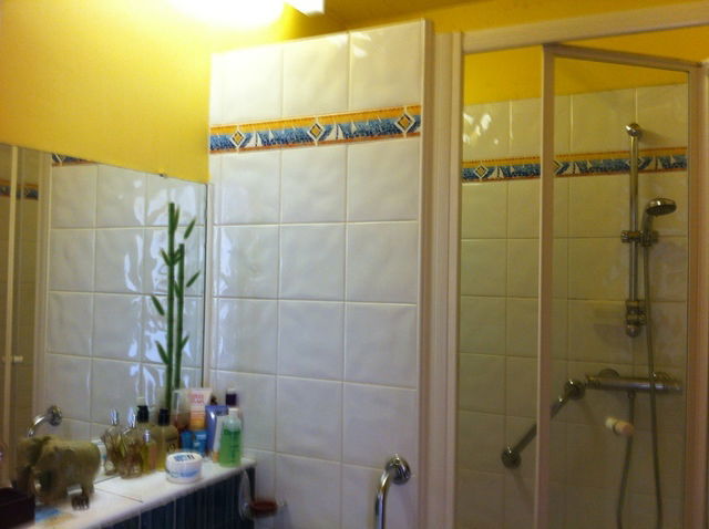 Kolokasie Paris 58051