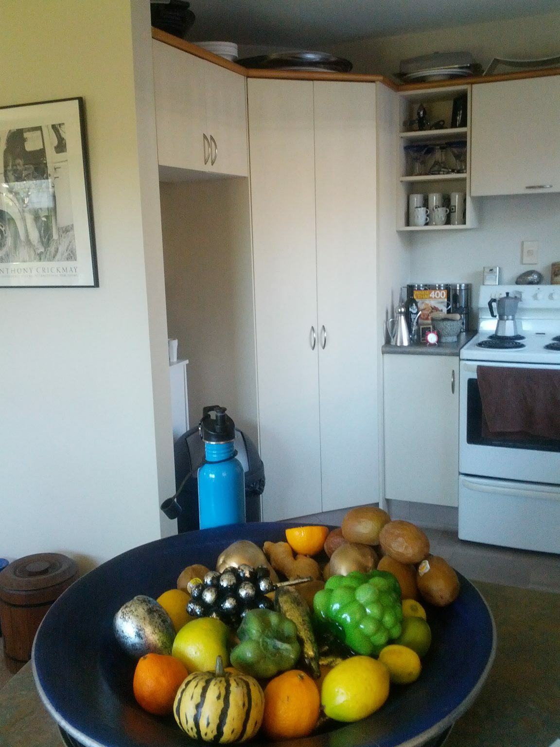 Gastfamilie Christchurch 203739