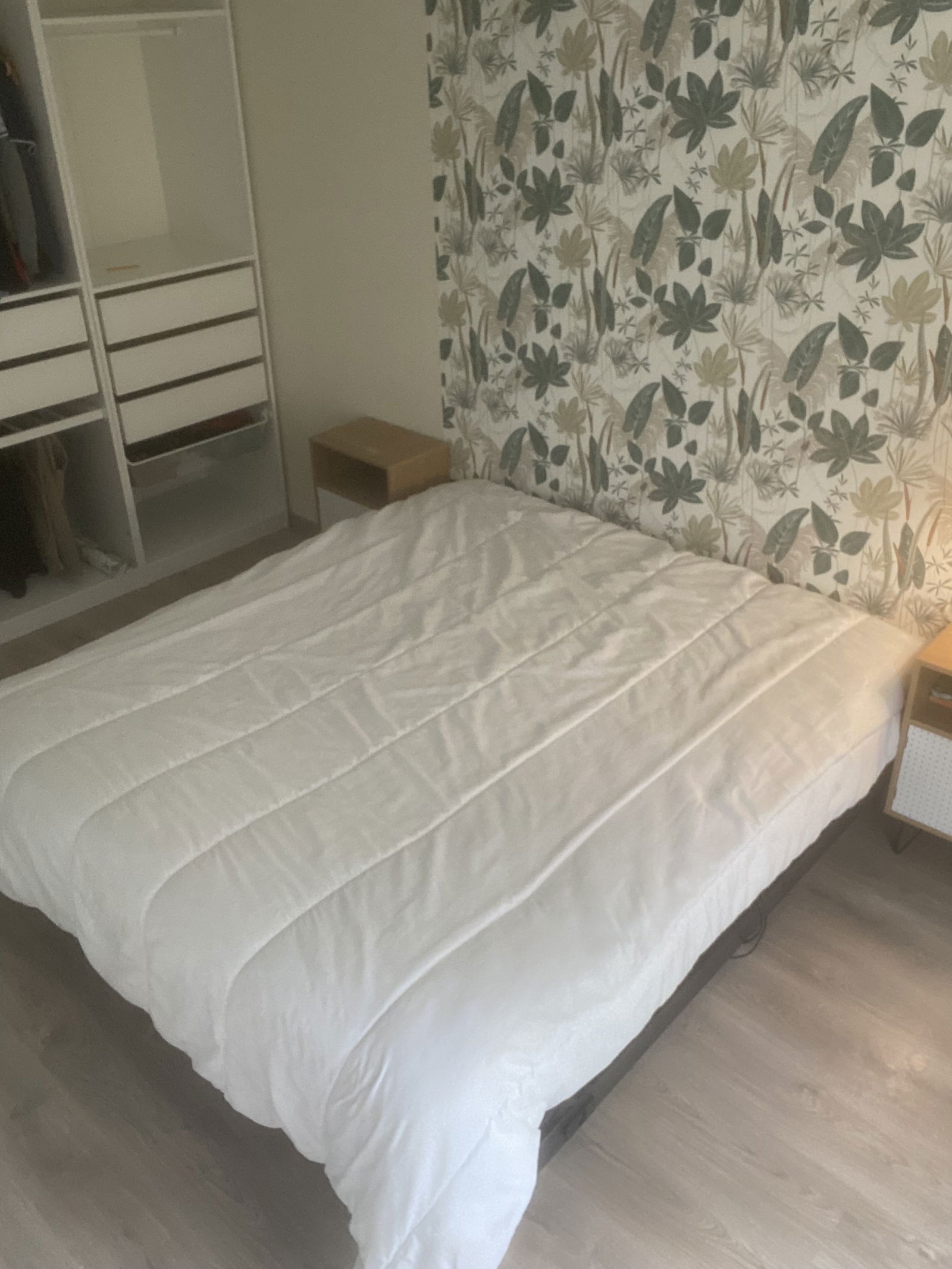 Famiglia Morannes sur Sarthe-Daumeray 634166