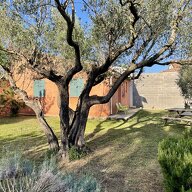 Tutta La Casa Miramas 505921