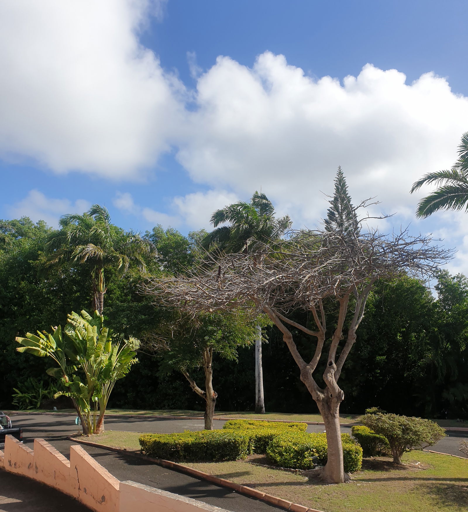 Studio Indépendant Saint-François 258602