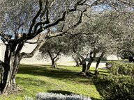 Bajo el sol provenzal: Casa rural L'Olivier T2 amueblada