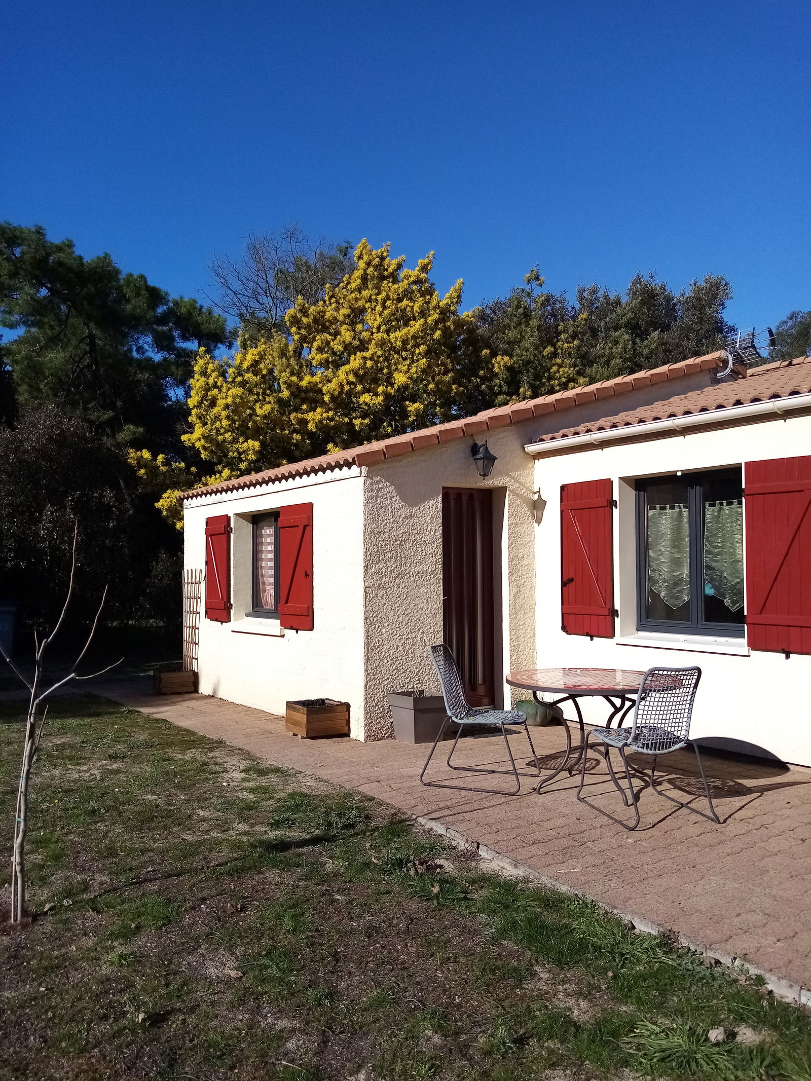 Homestay Saint-Jean-de-Monts 258213