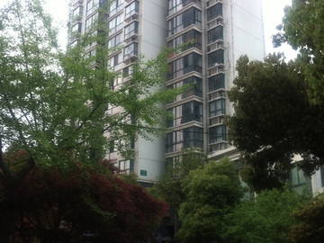Logement Entier Shanghai 77409-12