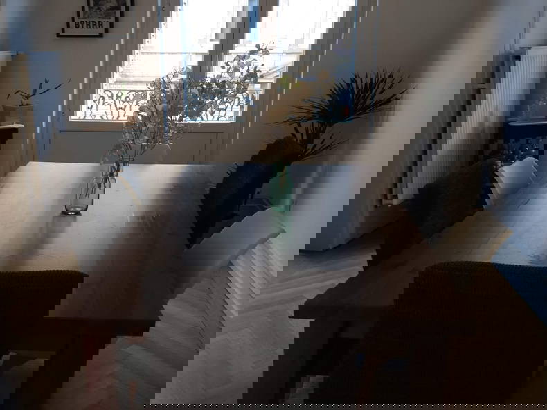 Logement Entier Strasbourg 262557-4