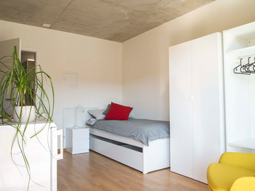 Roomlala | Sous-location Chambre En Colocation Vortex