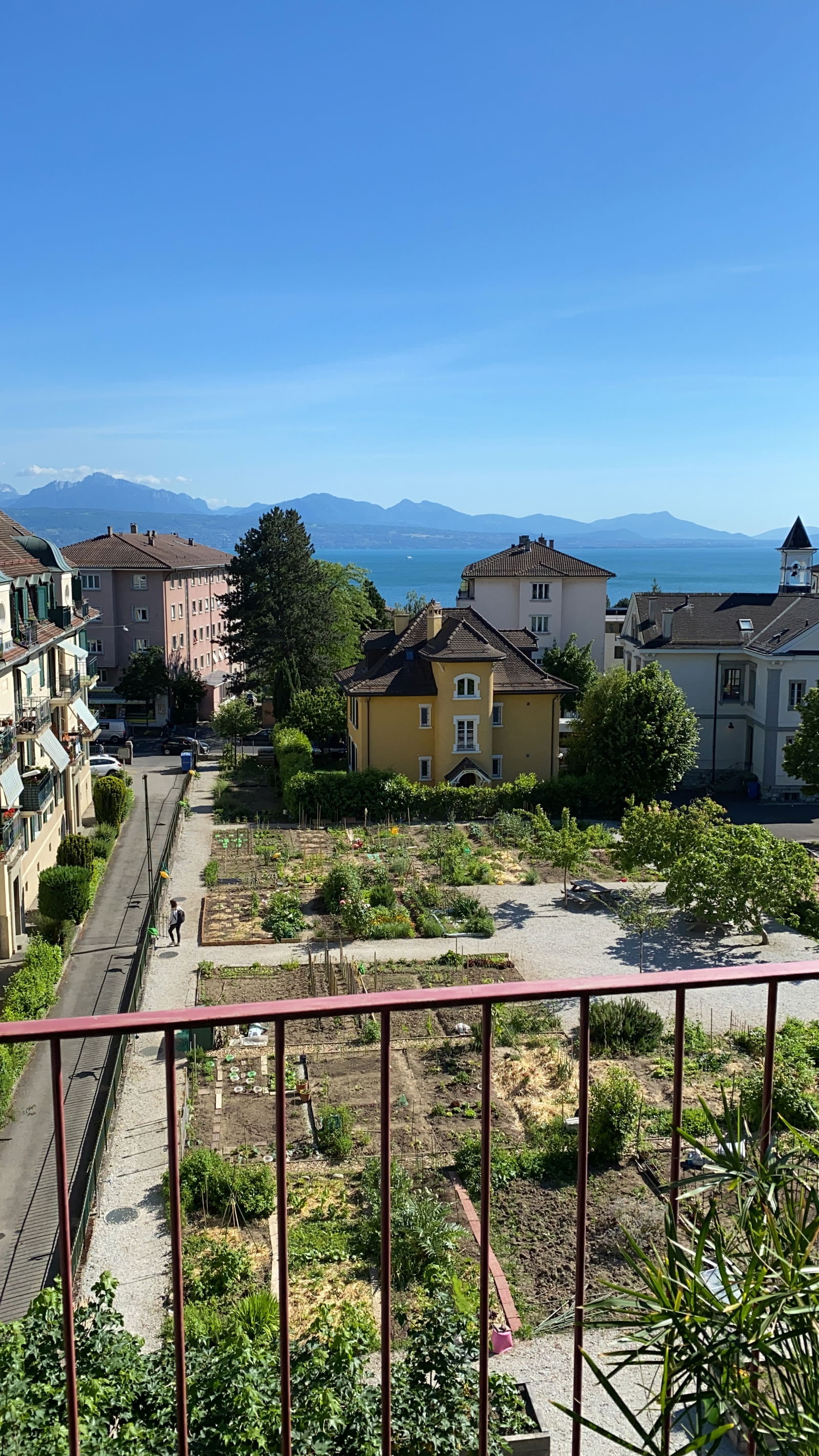 Colocation Lausanne 264305