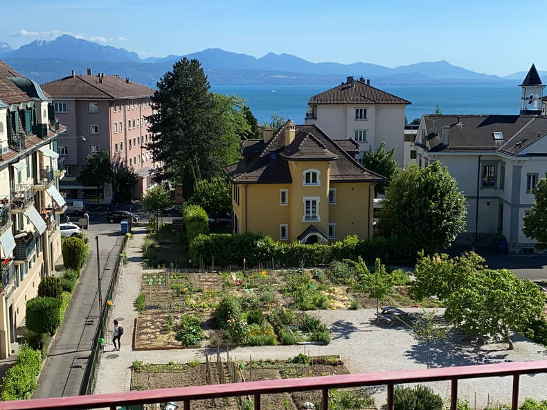 Colocation Lausanne 264305-2