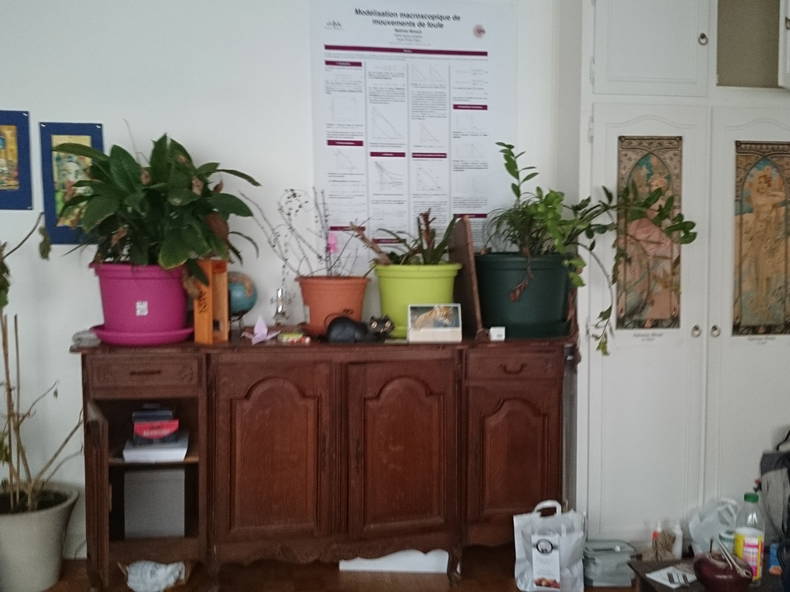 Colocation Paris 65678-3