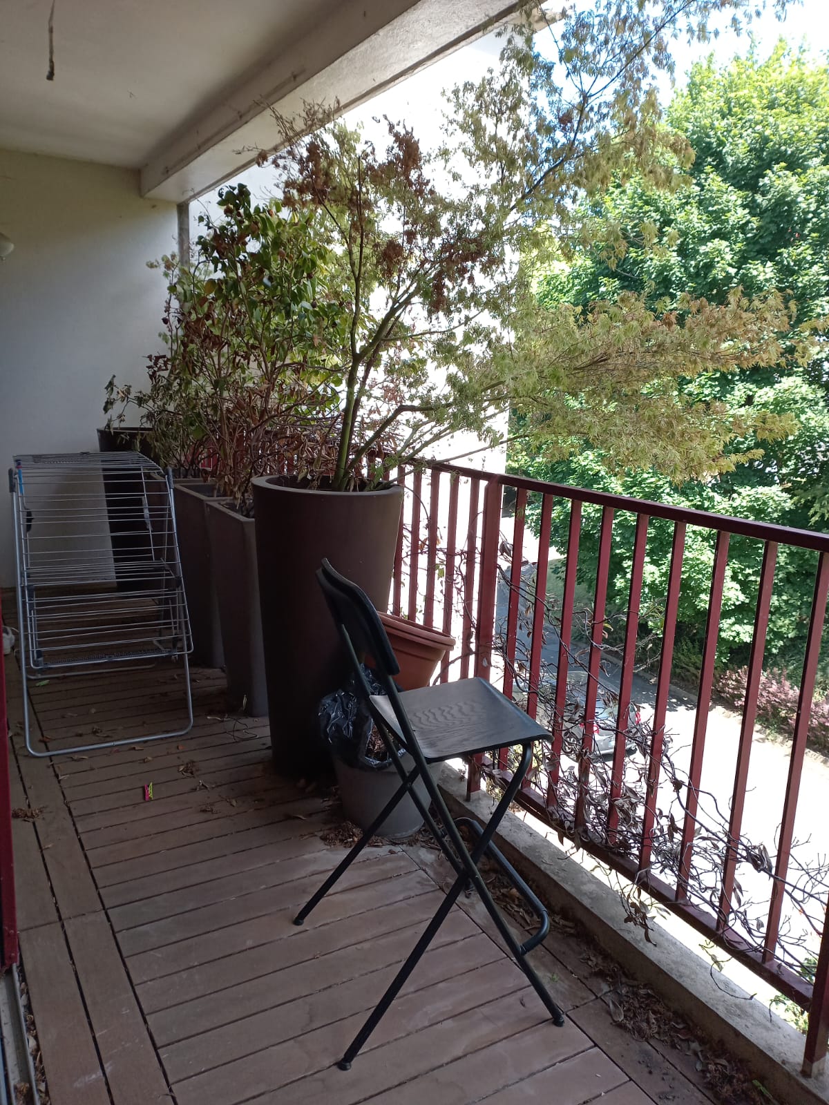 Colocation Palaiseau 532959