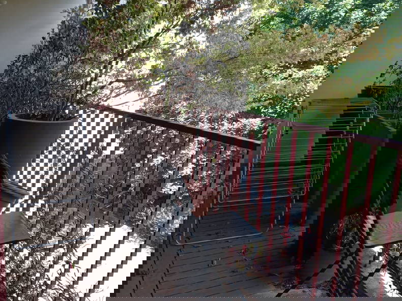 Colocation Palaiseau 532959-2