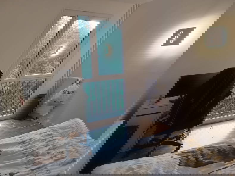 Colocation Palaiseau 532959-3