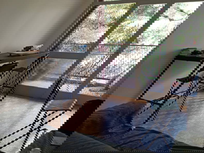 Colocation Palaiseau 532959-4