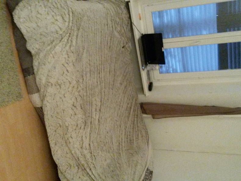 Colocation Villeurbanne 94365-1