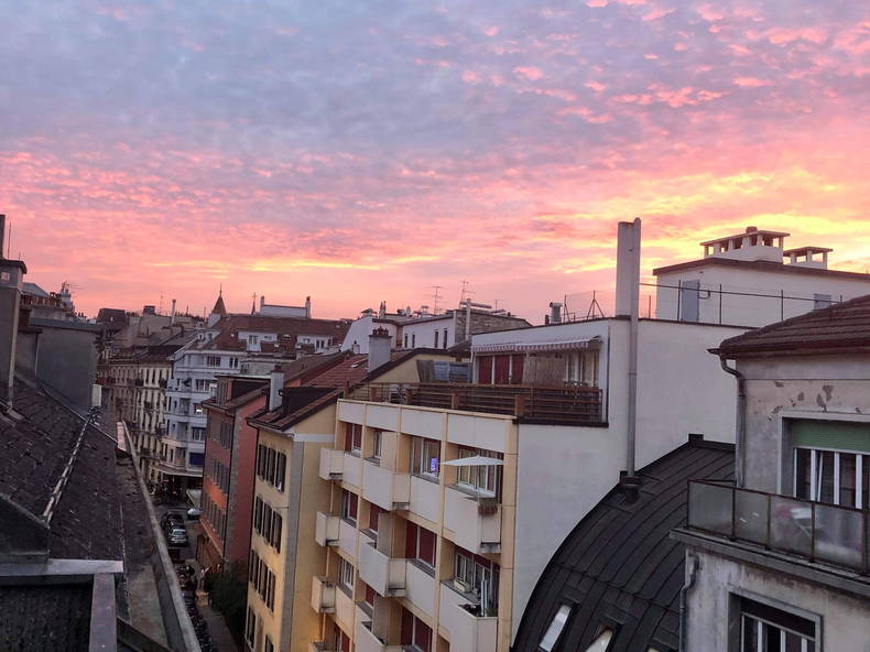 Logement Entier Genève 254697-1