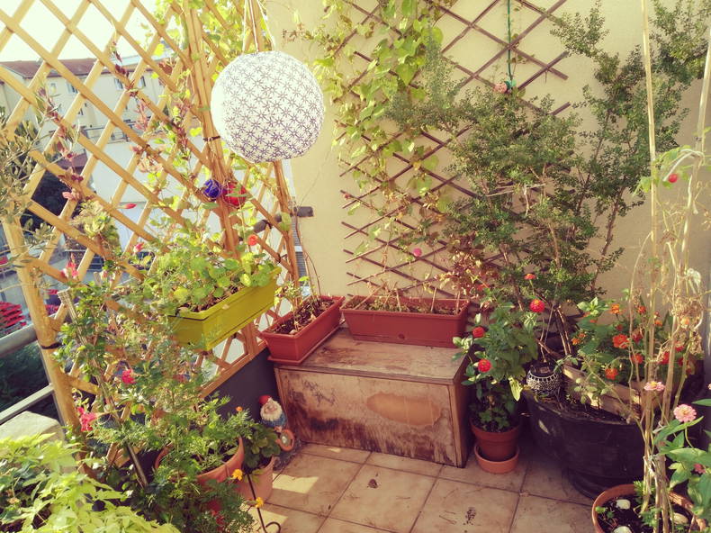 Colocation Villeurbanne 185971-5