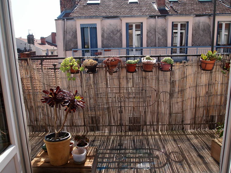 Homestay Lyon 123991