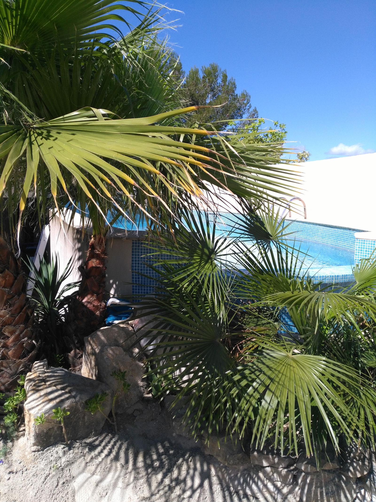 Homestay Juvignac 251924