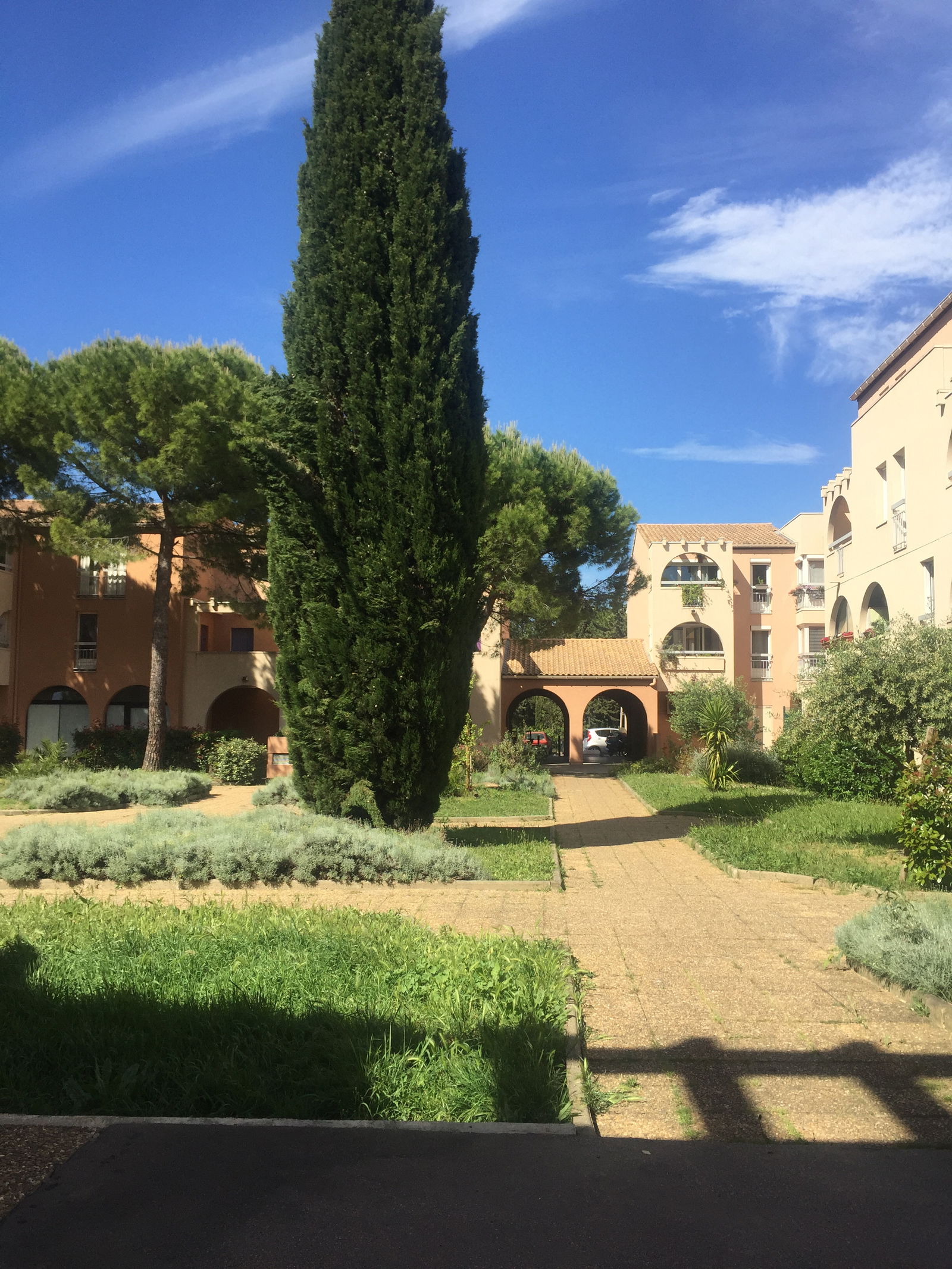 Colocation Montpellier 377222