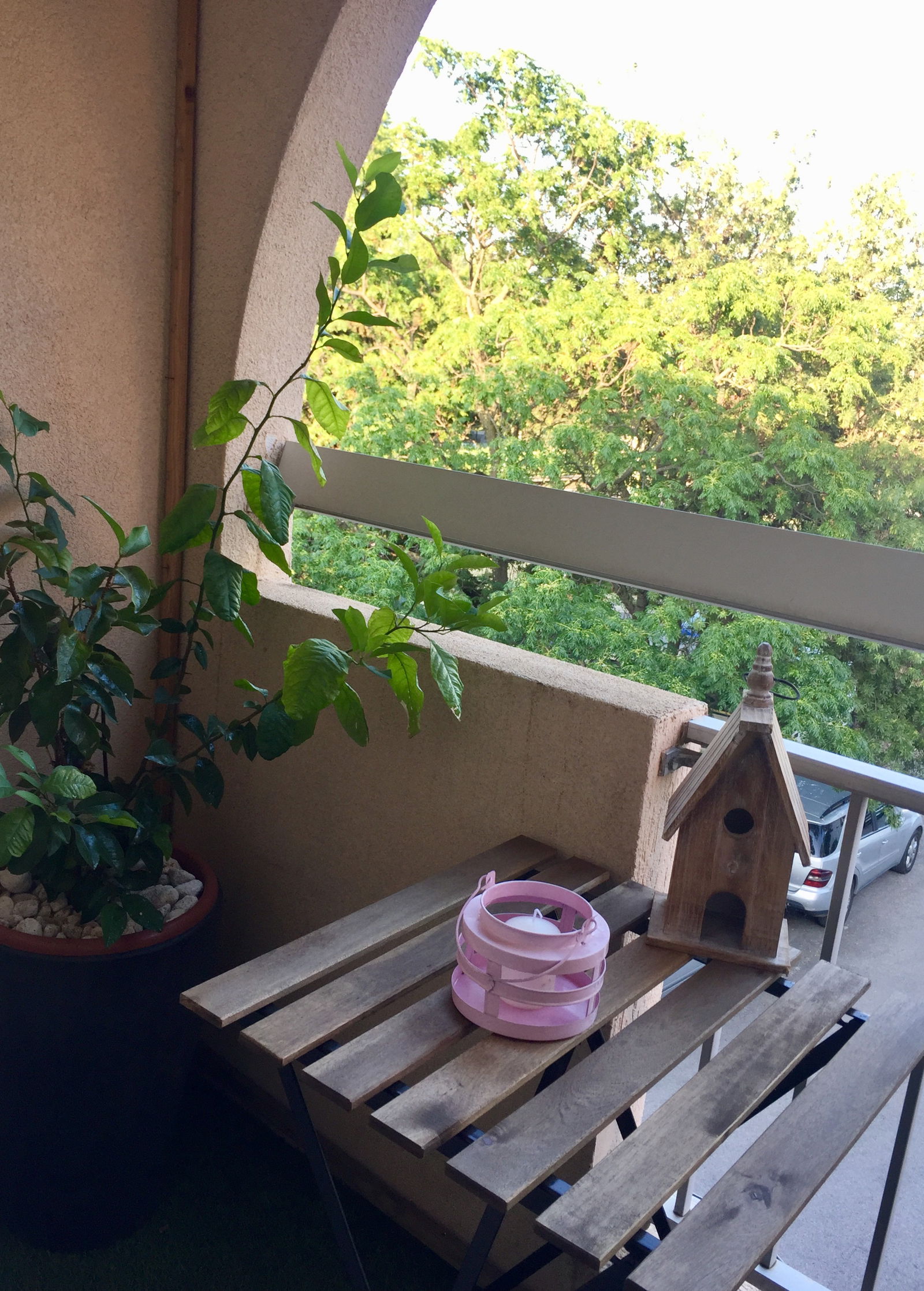 Colocation Montpellier 266650