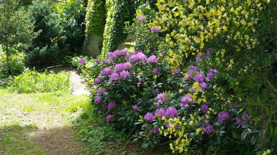 Unabhängiges Studio La Bourboule 111019