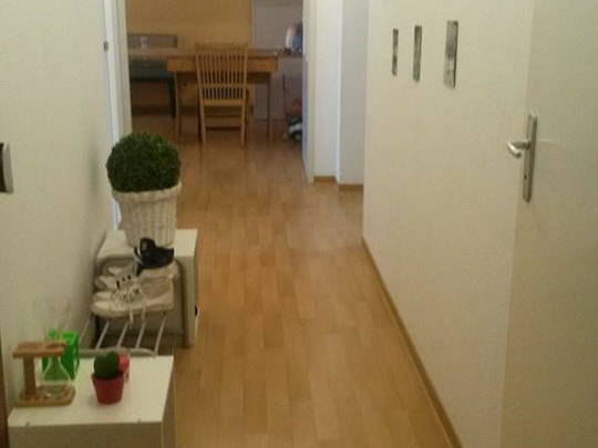 Homestay Strasbourg 169662