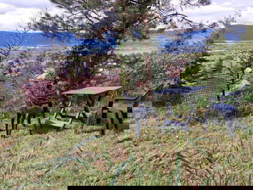 Homestay Yverdon-Les-Bains 515459-7