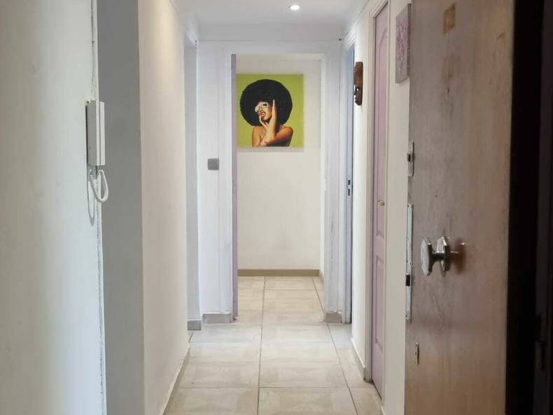 Kolokasie Toulon 229887-5