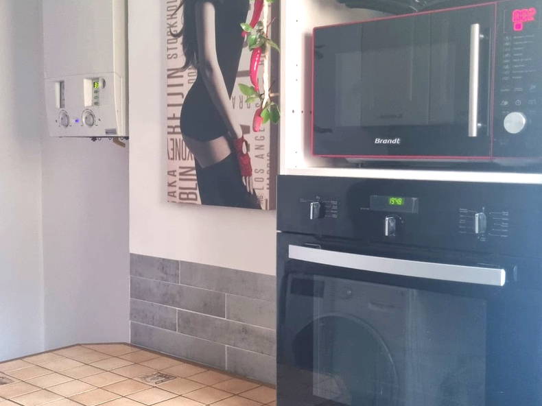 Kolokasie Toulon 229887-2