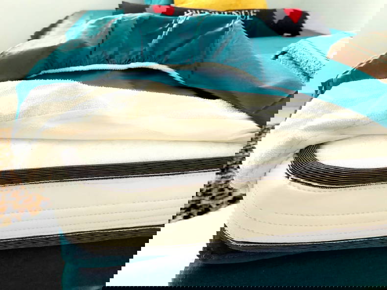 Kolokasie Toulon 229887-3