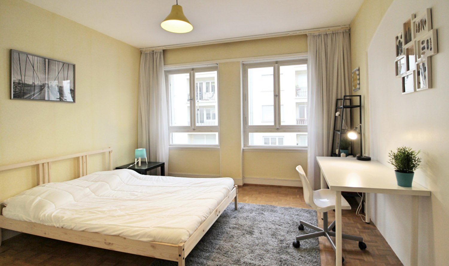 Colocation Strasbourg 264666