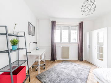 Chambre À Louer Strasbourg 264695