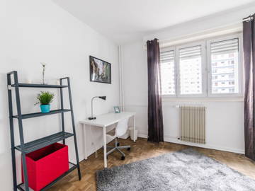 Chambre À Louer Strasbourg 264695